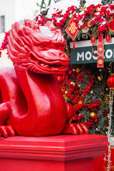 Similar image 21763525