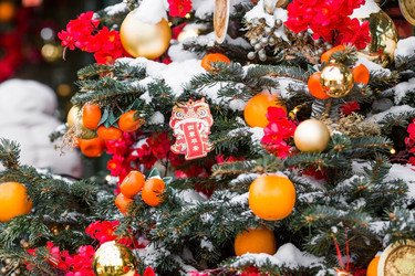 Similar image 21763538