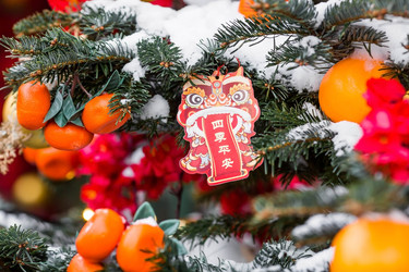 Similar image 21763539