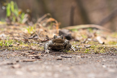 Similar image 21756301