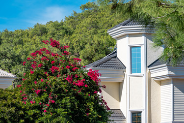 Similar image 21756476