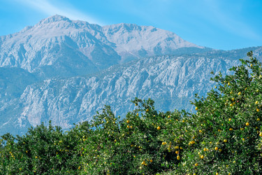 Similar image 21756478