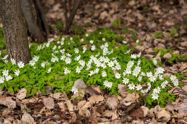 Similar image 21748195