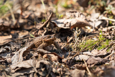 Similar image 21748207