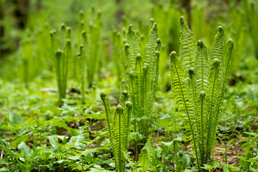 Similar image 21748211