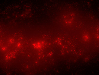 Similar image 21758846