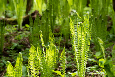 Similar image 21748716