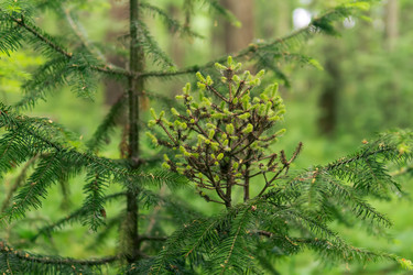 Similar image 21752381