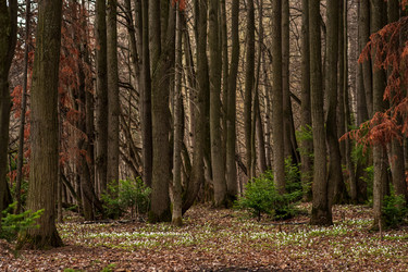 Similar image 21753005