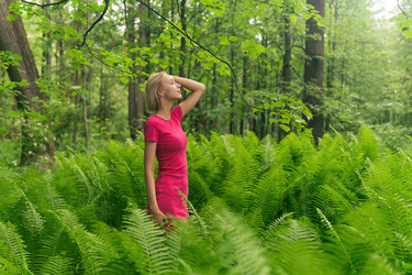 Similar image 21753006