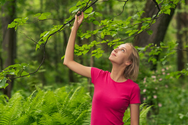 Similar image 21753635