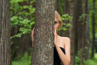 Similar image 21753636