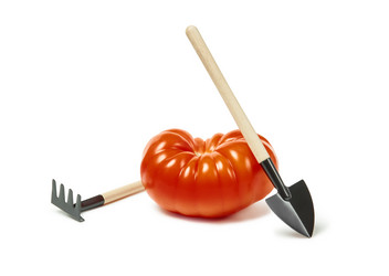 Similar image 21753842