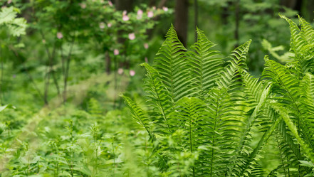 Similar image 21754040