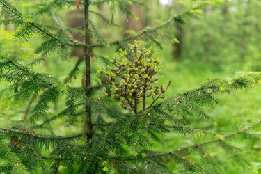 Similar image 21754043