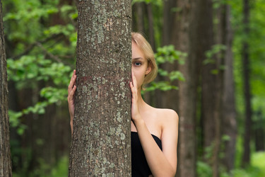 Similar image 21754460