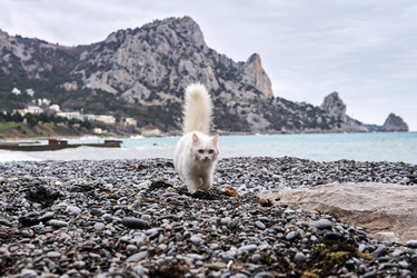 Similar image 21754917