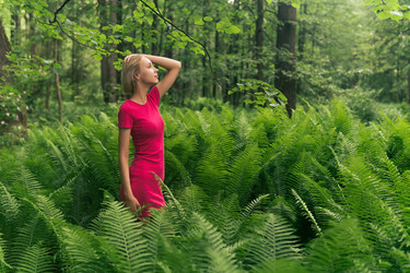 Similar image 21754920