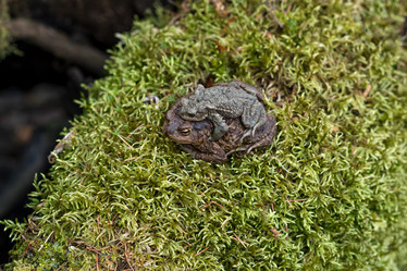 Similar image 21755070