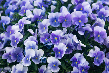 Similar image 21755688