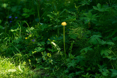 Similar image 21755889