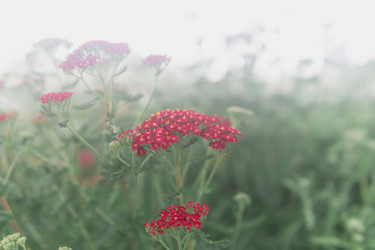 Similar image 21756310