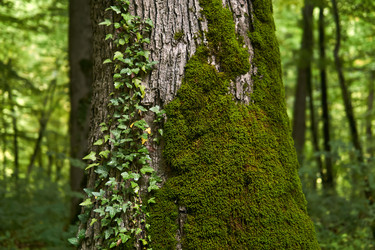 Similar image 21748725