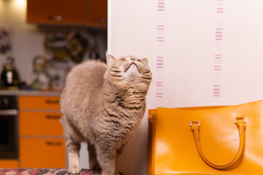 Similar image 21752403