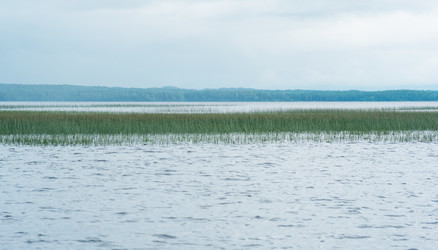 Similar image 21753009