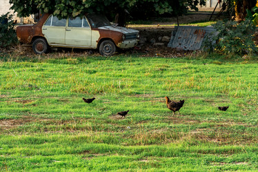 Similar image 21753854