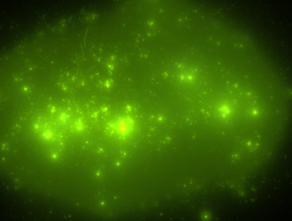 Similar image 21759388