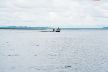 Similar image 21755285