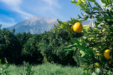 Similar image 21755902