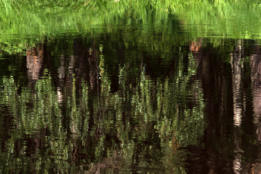 Similar image 21756116