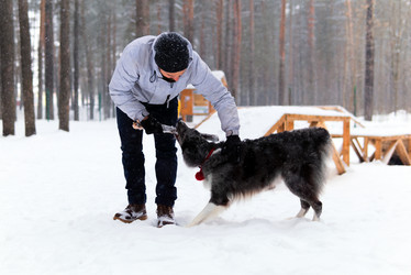 Similar image 21756118