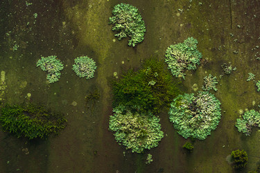 Similar image 21756119