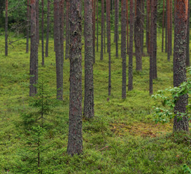 Similar image 21756319