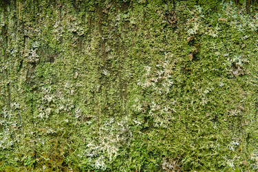 Similar image 21756491