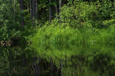 Similar image 21756495