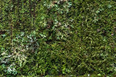 Similar image 21752417