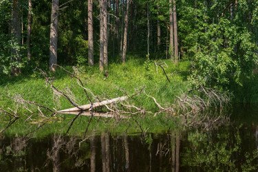 Similar image 21753242