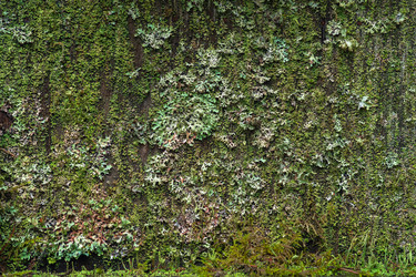 Similar image 21753244