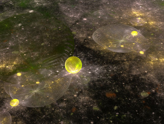 Similar image 21759393