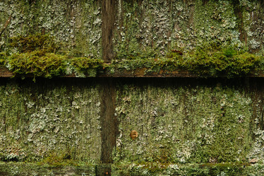 Similar image 21754058