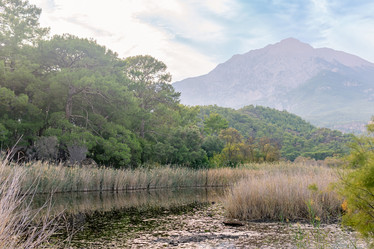 Similar image 21754060