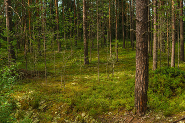 Similar image 21754256