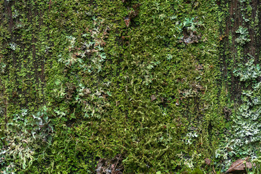 Similar image 21754471