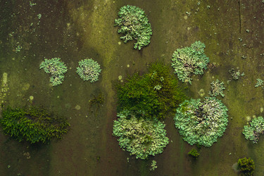 Similar image 21754671