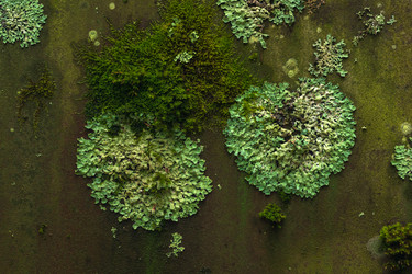 Similar image 21754675