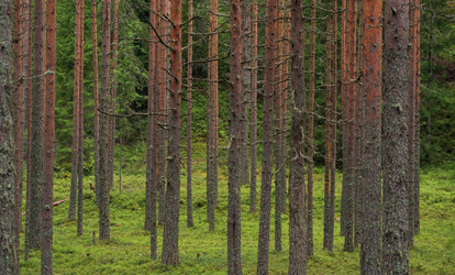 Similar image 21754677